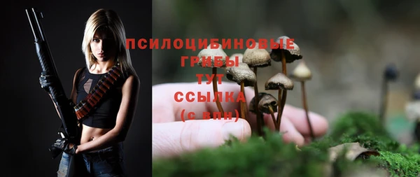 твердый Елабуга