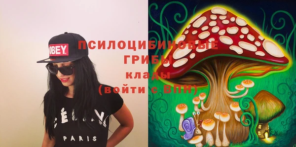 мяу мяу мука Ельня