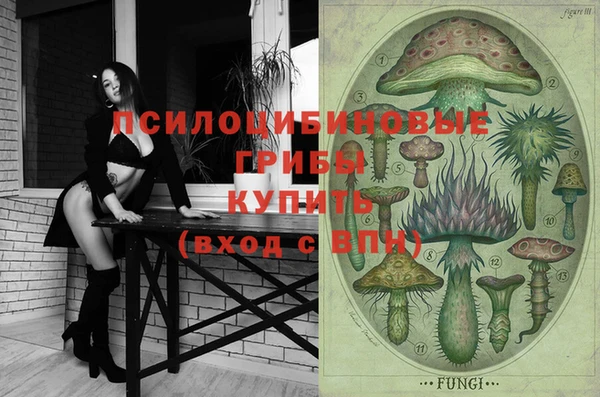 твердый Елабуга